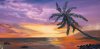 Hawaii